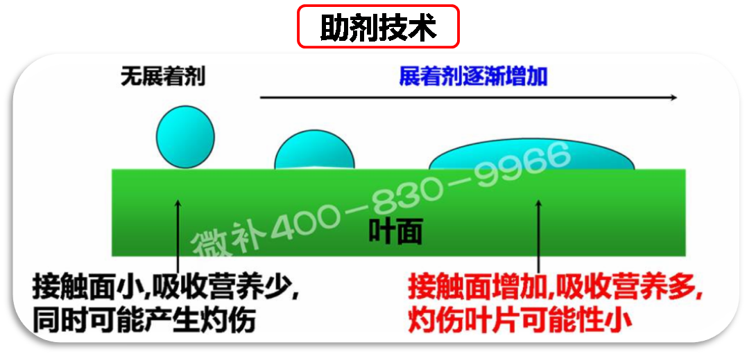 余教授德國鄉(xiāng)村行：我在德國為什么不會點(diǎn)啤酒了？