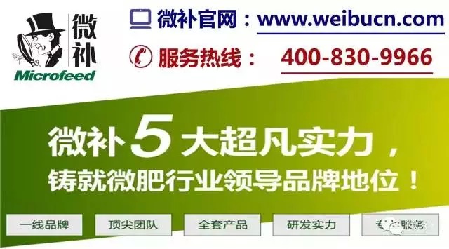 余教授奧地利鄉(xiāng)村行：萬科為什么說把奧地利小鎮(zhèn)搬回來？