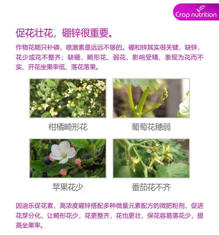 因迪樂有機(jī)促花素_02.jpg